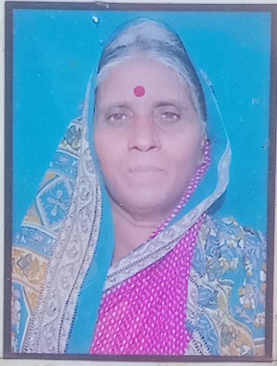 सदस्य